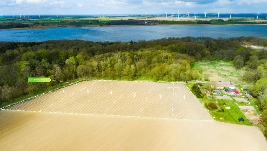 Działka Sprzedaż Wolin